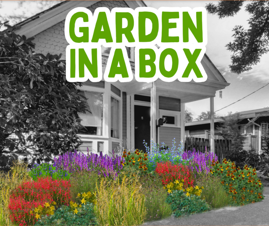 Garden in a Box program